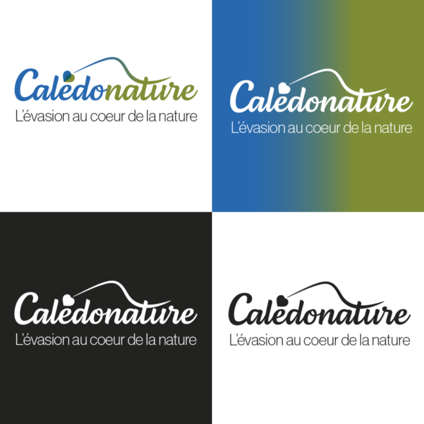 Déclinaison logo